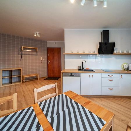 Apart4You Apartamenty Boruta ザコパネ エクステリア 写真