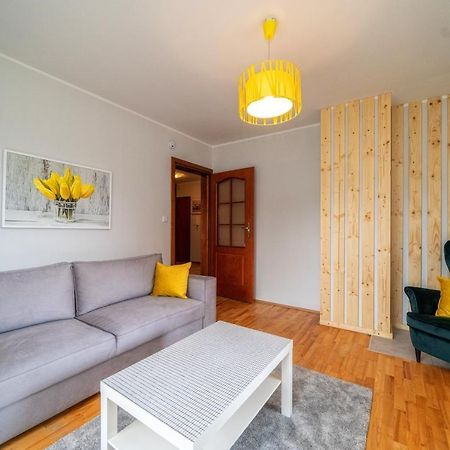 Apart4You Apartamenty Boruta ザコパネ エクステリア 写真