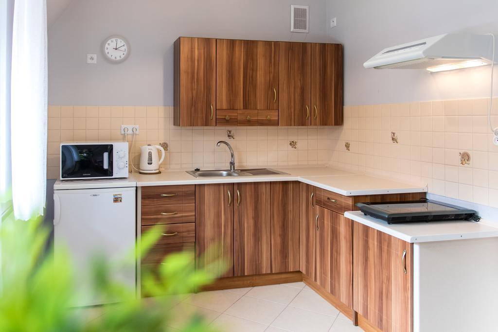 Apart4You Apartamenty Boruta ザコパネ エクステリア 写真