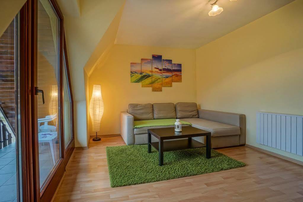 Apart4You Apartamenty Boruta ザコパネ エクステリア 写真