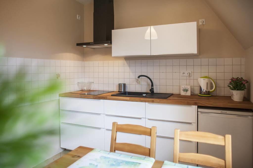 Apart4You Apartamenty Boruta ザコパネ エクステリア 写真