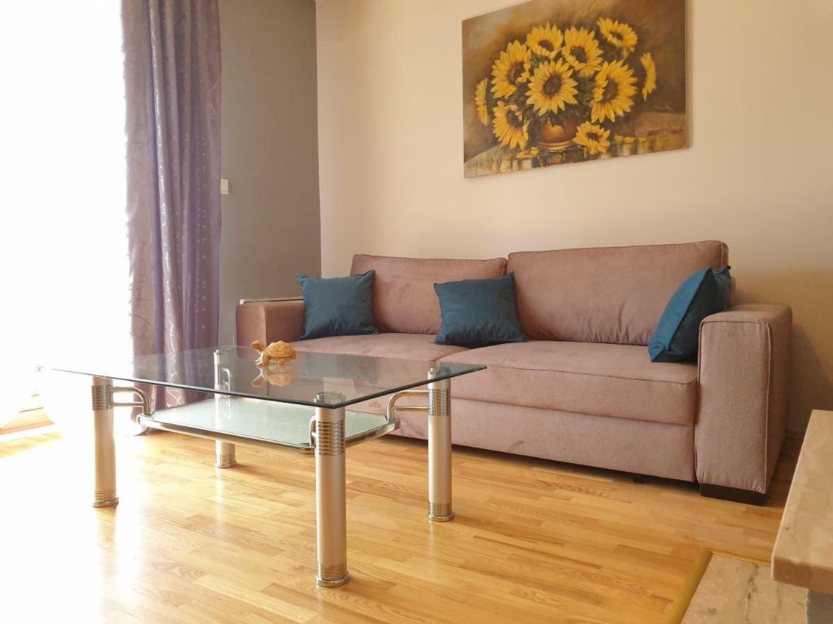 Apart4You Apartamenty Boruta ザコパネ エクステリア 写真