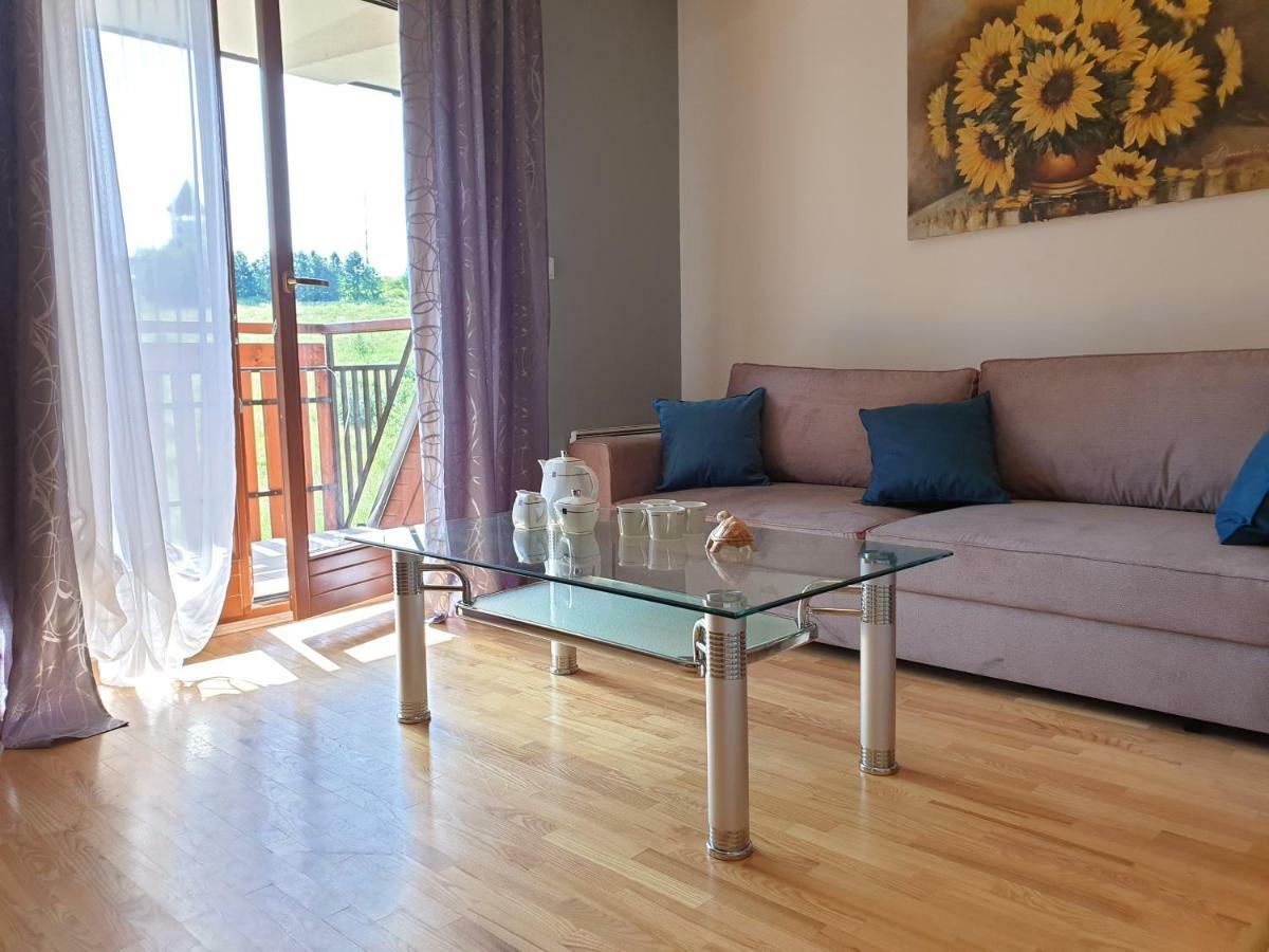 Apart4You Apartamenty Boruta ザコパネ エクステリア 写真